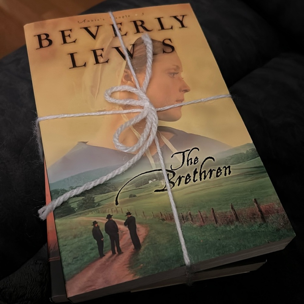 Beverly Lewis Annie’s people book bundle